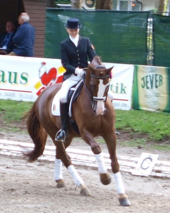 Obrazek