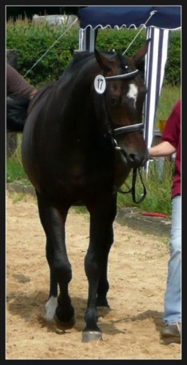 24.4-prince-sandro.jpg
