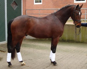 Obrazek