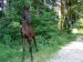 Marvitholl de Lun